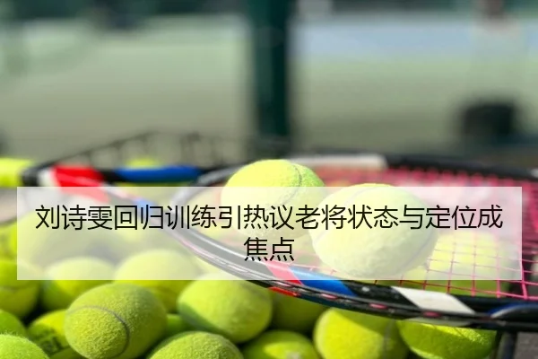 刘诗雯回归训练引热议老将状态与定位成焦点